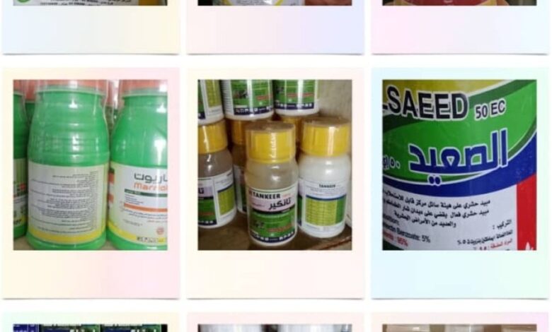 IMG ٢٠٢٥١٠٢٩ ١٥٣٠٠٥