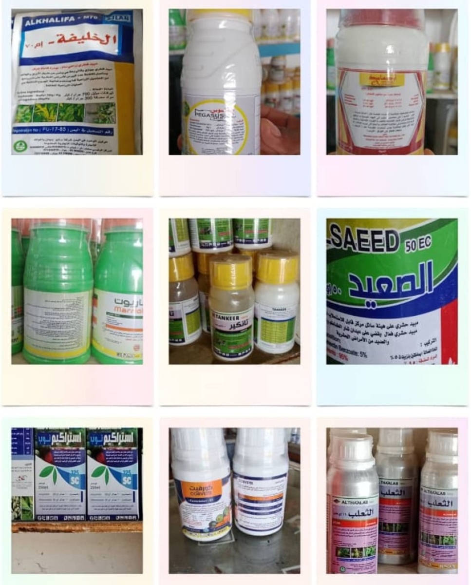 IMG ٢٠٢٥١٠٢٩ ١٥٣٠٠٥