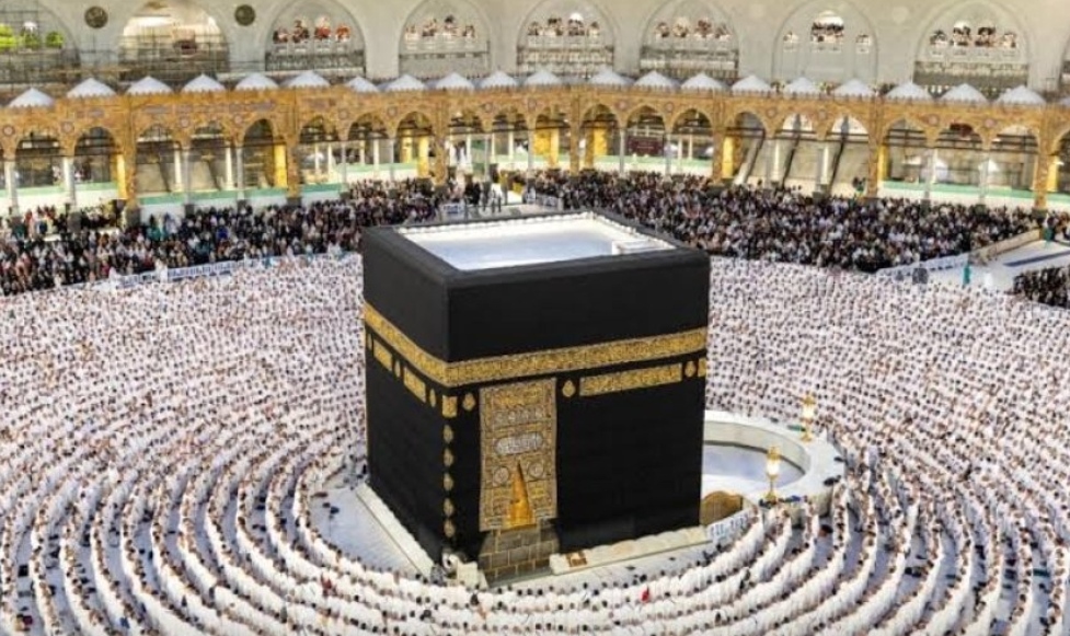 IMG ٢٠٢٥١٠٣١ ٢٣١٥١٤