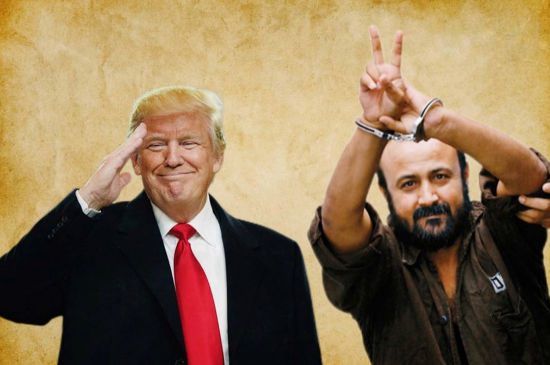 InShot 20251023 174743007 scaled 01