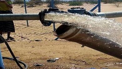 c93da2df 0f95 463d 9729 233ca8299f71