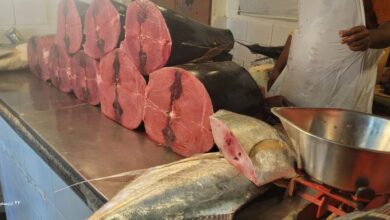 image 870x 6767cc138c46b