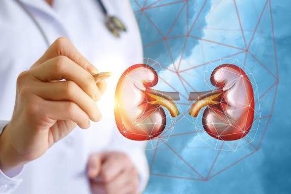 بغض النظر عن فـ ـصـ ـيلة دمـ ـك .. الابتكار الطبي يجد طريقًا جديدًا لـ ـزراعـ ـة الكلى 1 images 17 1