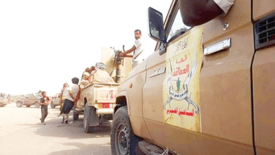 قوات العمالقة الجنوبية