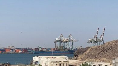 اقتصاد الحركة التجارية من الموارد البحرية في عدن.. رافد أساسي لنشاط الثروة العامة ومعيشة المواطنين 3 0b85d67c 67a4 4401 bb20 dad87da7436f