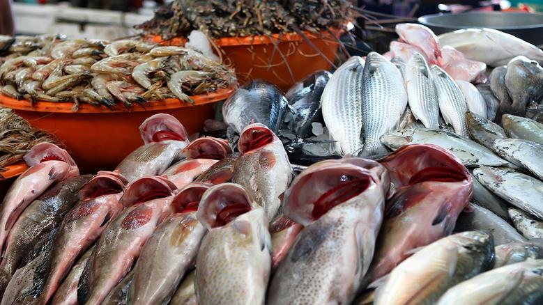 19066196471718348981 2