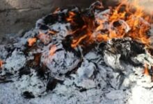 20251103 adenmedia 10