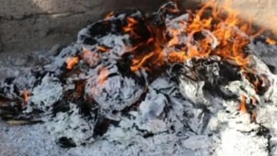 20251103 adenmedia 10