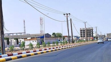 شاهد كيف أصبح شارع الخمسين بالمنصورة بعد إعادة تأهيله 2 20251112 adenmedia 16