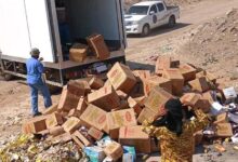 إتلاف أربعة أطنان من المواد الغذائية الفاسدة في المنصورة 7 20251113 adenmedia 2