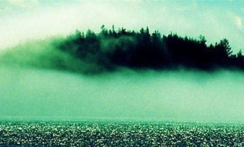 قصة جزيرة أسطورية لا تُرى إلا يوماً واحداً كل 7 سنوات 1 202511285123862317