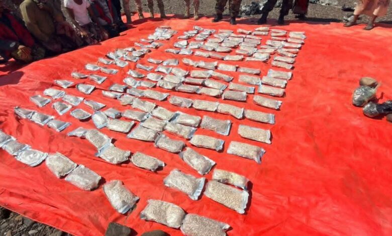 2bd2d6b6 3193 4112 b6b7 14d9ae47c8ac