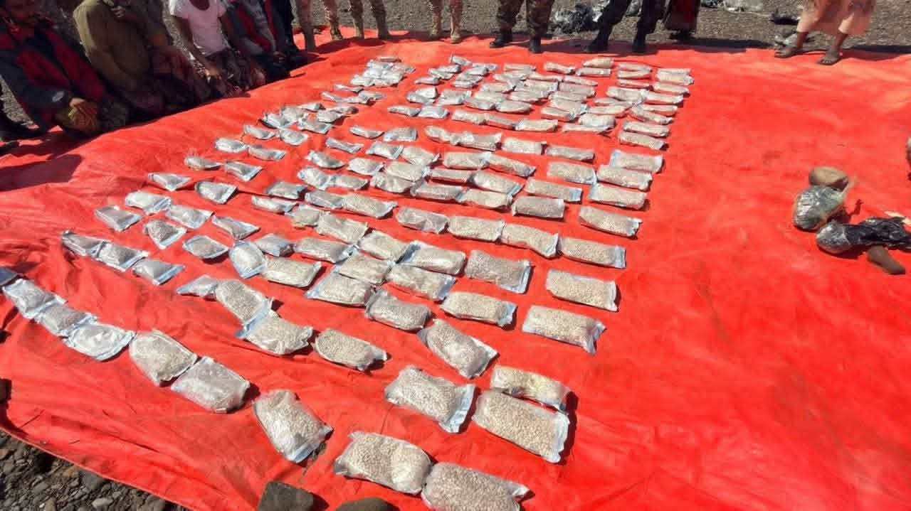 2bd2d6b6 3193 4112 b6b7 14d9ae47c8ac