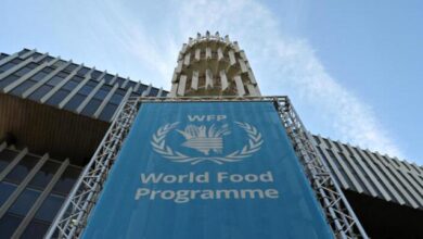 برنامج الأغذية يحدد حاجته بـ 802 مليون دولار لدعم اليمن العام القادم 3 4362b9ed ad36 4adf ab91 0de918d77d5a 1