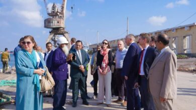 43e66e22 902c 40d5 a084 6c2338c88256