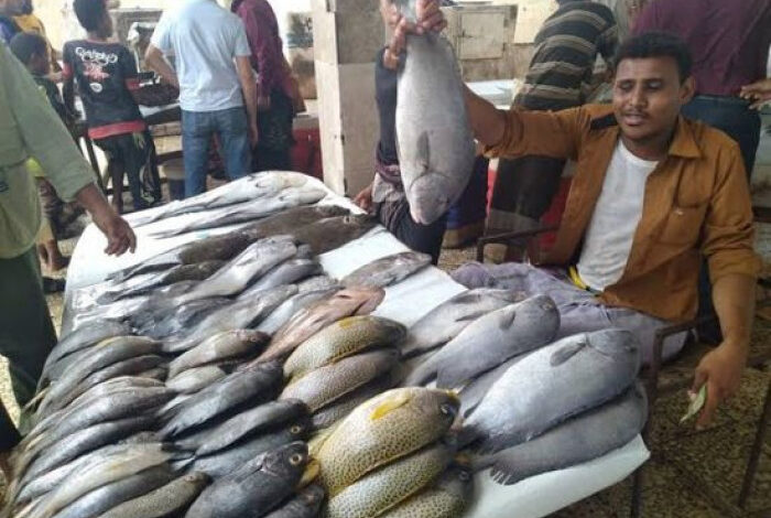 أسعار الأسماك بالعاصمة عدن 1 61a49b5c55743