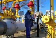 786a0267 825a 49b1 bee0 e624df236556