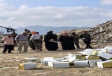 806c6442 c32d 4104 99d8 926c68b2080e