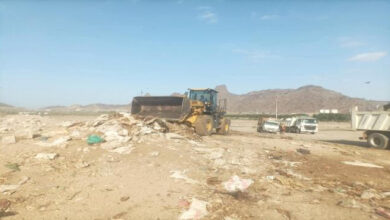 8a669229 ff6b 444d 9240 a01b477727b3