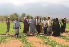 8d51c12f f514 49fb b633 dc4bac6c2b25