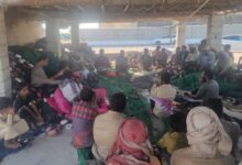 مدير عام هيئة المصائد السمكية بشبوة يلتقي صيادي الحاوي للحفاظ على التوازن الغذائي 6 IMG 20251101 WA0035