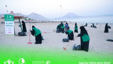 IMG 20251103 WA01181