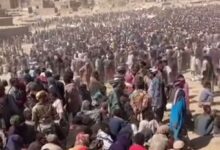 IMG 20251103 WA01201