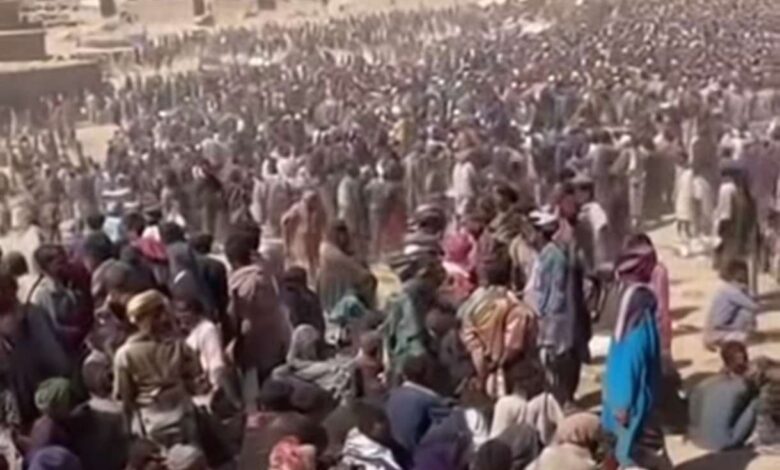 IMG 20251103 WA01201