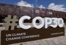 مصدر في وزارة المياه والبيئة: الأرقام المتداولة عن وفد اليمن إلى COP30 غير دقيق.. ودور الحكومة يقتصر على الإجراءات الفنية دون تمويل المشاركين 8 IMG 20251118 WA0012