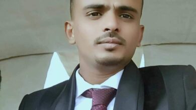 IMG 20251118 WA0016 1