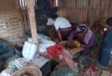 مكتب الأشغال العامة والطرق بمديرية نصاب ينفّذ حملة رقابية واسعة على أسواق المواد الغذائية 12 IMG 20251126 WA0028