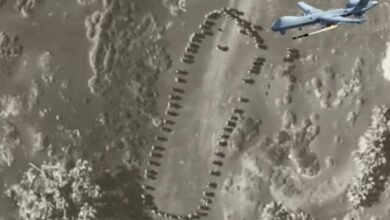 IMG ٢٠٢٥١١٠٣ ٢٣٤٨٣٣