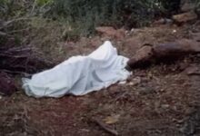 IMG ٢٠٢٥١١٠٤ ١٥٣٩٠٣