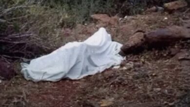 IMG ٢٠٢٥١١٠٤ ١٥٣٩٠٣