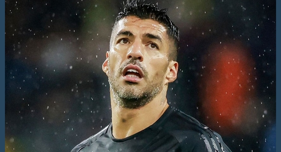 IMG ٢٠٢٥١١٠٥ ٢٣٣١٣٦