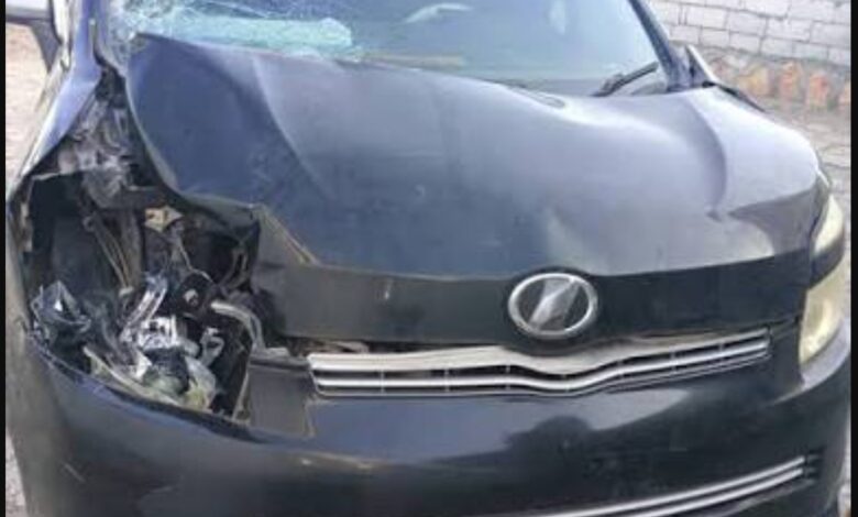 IMG ٢٠٢٥١١١١ ١٠٤٧٣٠