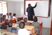 IMG ٢٠٢٥١١١٦ ٢٠١٥٤٨