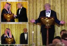 IMG ٢٠٢٥١١١٩ ١٢٠٧٢٤