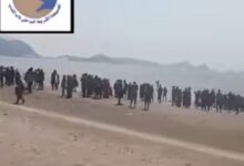 الحملة الأمنية لقوات العمالقة تحبط عملية تهريب "205 مهاجر أفريقي" وتضبط "5 مهربين" في مهمة بحرية نوعية (لاتفوّت التفاصيل) 8 IMG ٢٠٢٥١١٢١ ٠٢٠١٠٢