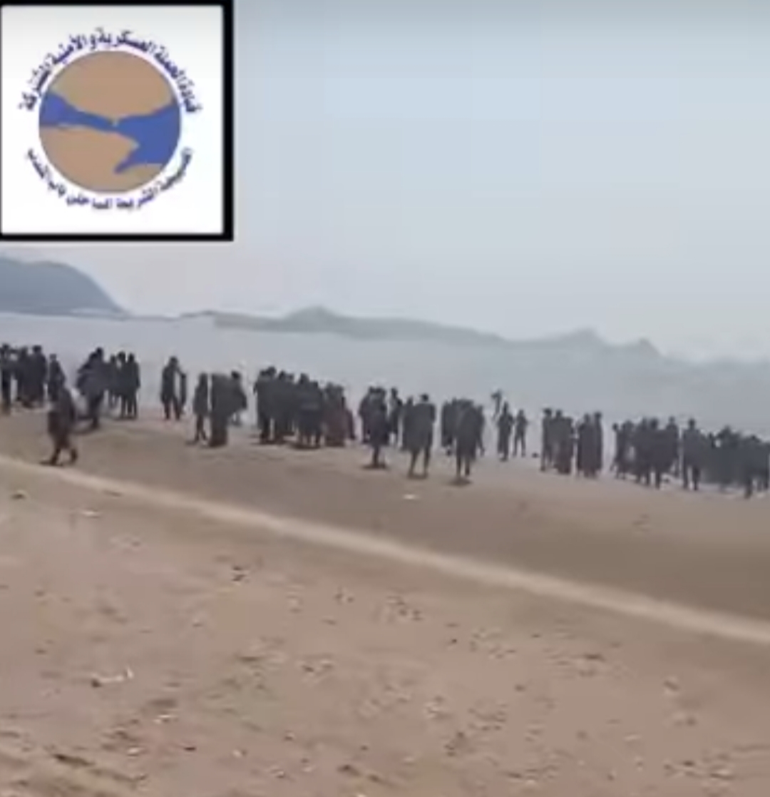 IMG ٢٠٢٥١١٢١ ٠٢٠١٠٢