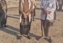 IMG ٢٠٢٥١١٢٧ ٠٣٠٥٥٨