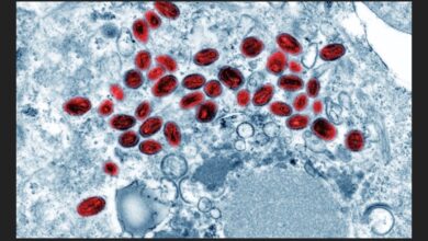 Screenshot ٢٠٢٥ ١١ ٠٤ ٠٤ ٤٢ ٢٦ ٦٣٦ com.word .ajjel edit