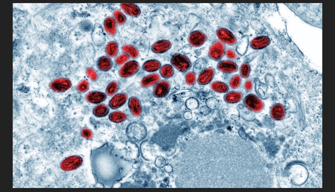 Screenshot ٢٠٢٥ ١١ ٠٤ ٠٤ ٤٢ ٢٦ ٦٣٦ com.word .ajjel edit