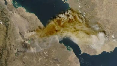 aa84be92 54bf 41b6 ad24 7258fb626736 16x9 1200x676