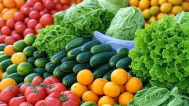 adennews09 08 2025 217383 1