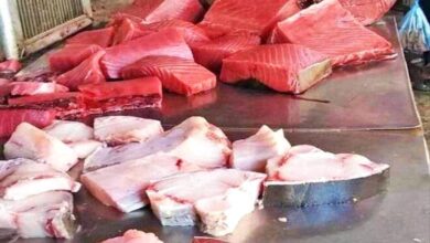 أسعار الأسماك اليوم الأحد بالعاصمة عدن 2 c03e67af 2645 4786 bc9e 2d8df0af0d0e 3