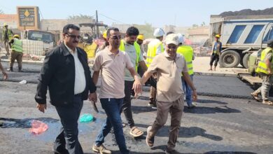 مدير عام المنصورة يتفقد الأعمال النهائية بمشروع إعادة تأهيل شارع الخمسين 5 c3f90e08 a67f 4dfd ae38 19e283d06780