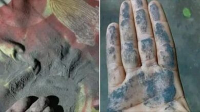 d9c6d2df 32d4 438c 82af f71f0f82ab17