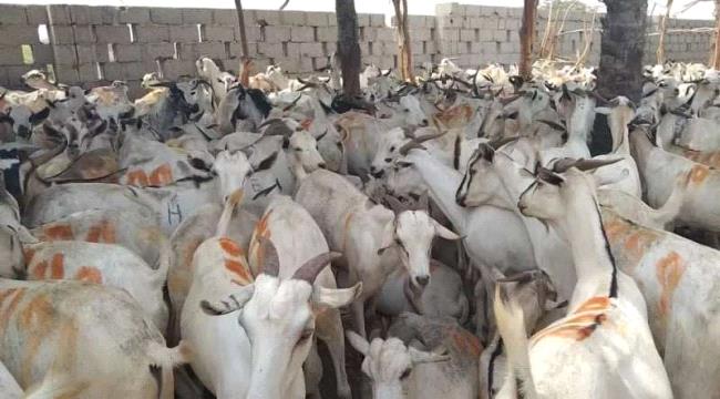 e09ad193 e969 4436 9cd4 040df8193b2c 1