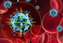 باحثون يطورون علاجا ضوئيا يقضي على الخلايا السرطانية 8 elaosboa79056